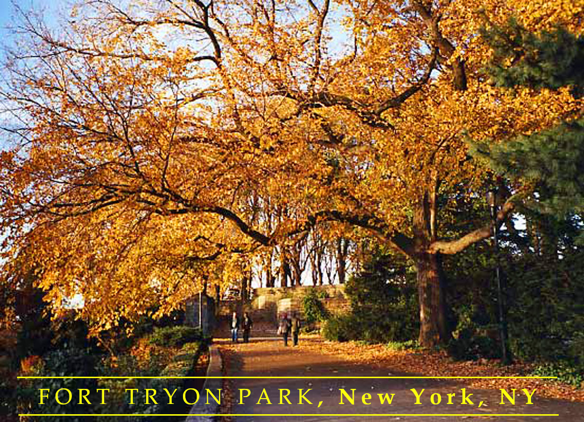 Fall in Fort Tryon Park by Claire Sterling