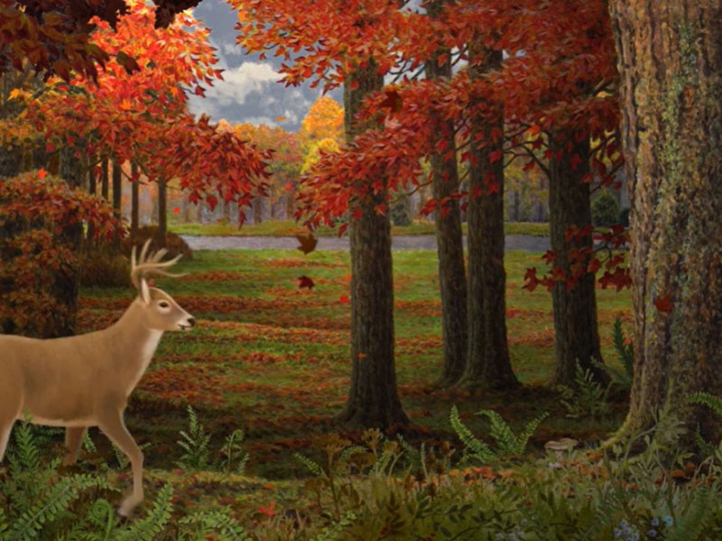 #StationerySundays (10/18/20) – Eco-Friendly Greeting&nbsp;Cards