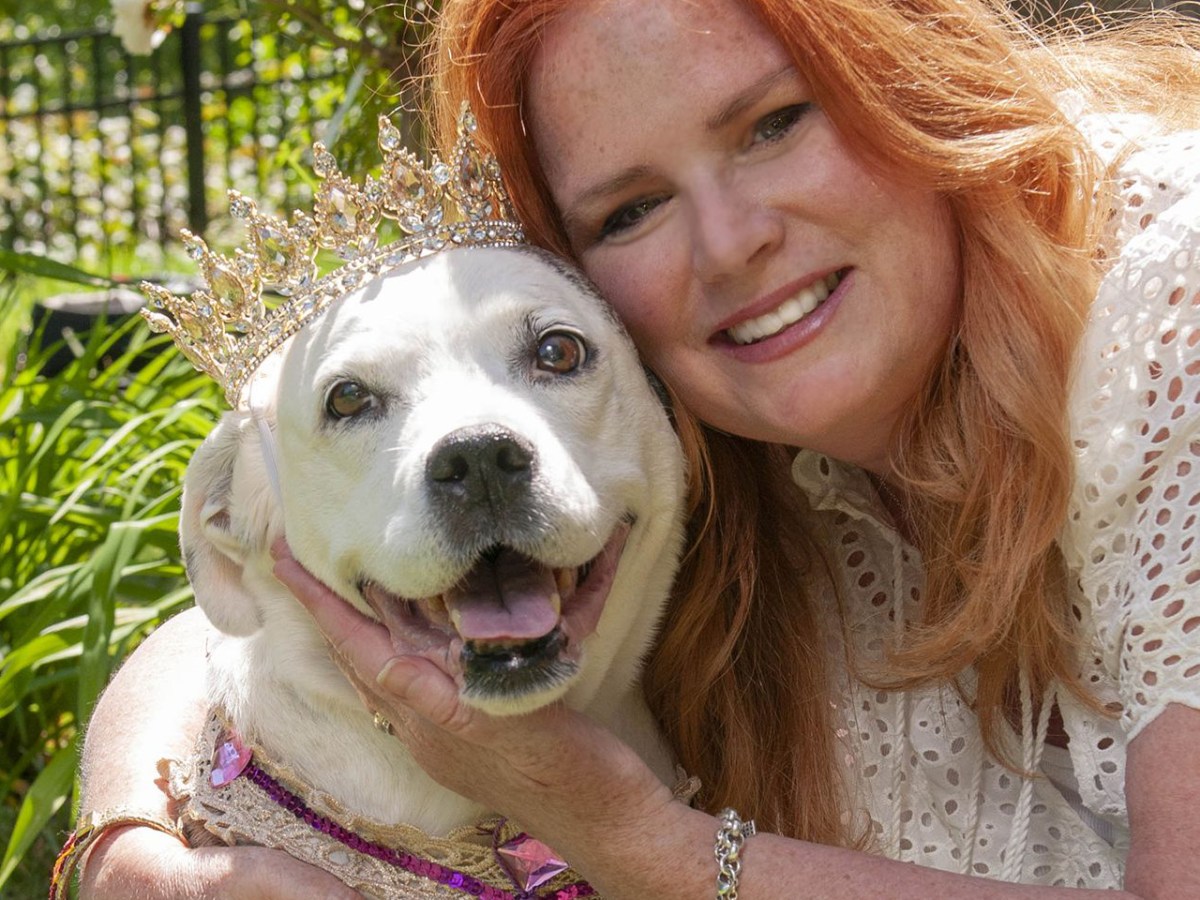 People of Note: Nicole Elizabeth, Founder, Owner, and Greeting Card Maker,&nbsp;Sent-Well