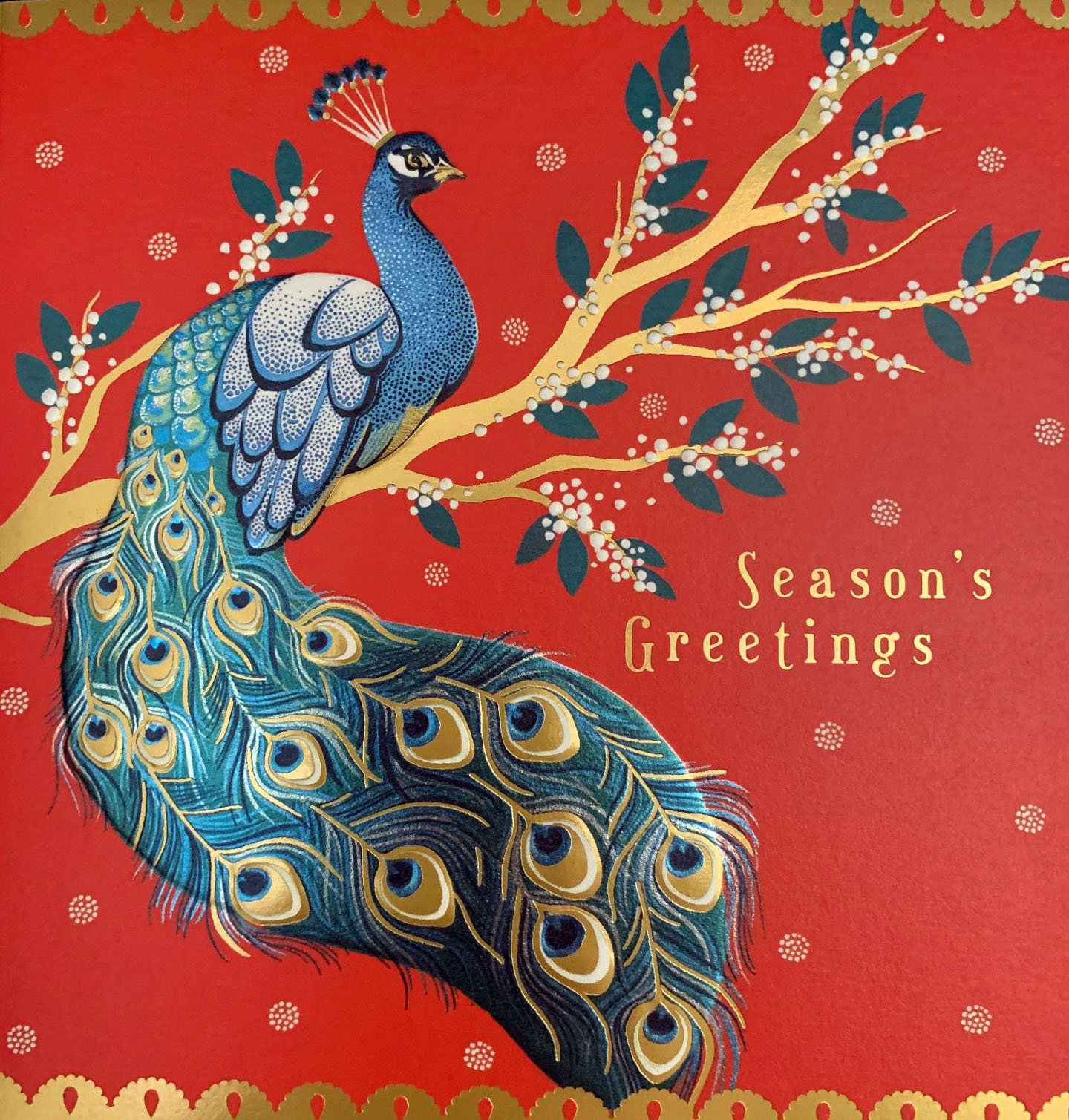 Season's Greetings peacock card from TheArtFile