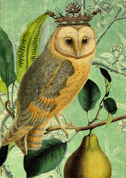 Madame Treacle crowned owl card